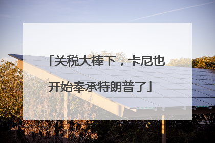 关税大棒下，卡尼也开始奉承特朗普了