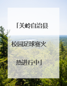 关岭自治县校园足球赛火热进行中