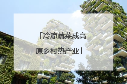 冷凉蔬菜成高原乡村热产业