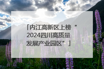 内江高新区上榜“2024四川高质量发展产业园区”