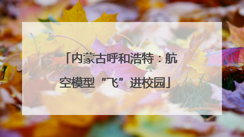 内蒙古呼和浩特：航空模型“飞”进校园