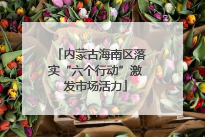 内蒙古海南区落实“六个行动”激发市场活力