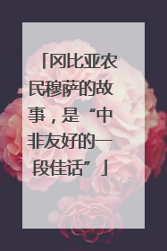 冈比亚农民穆萨的故事，是“中非友好的一段佳话”