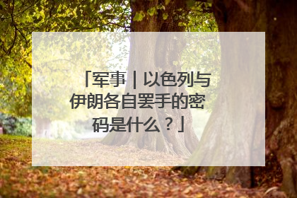 军事｜以色列与伊朗各自罢手的密码是什么？