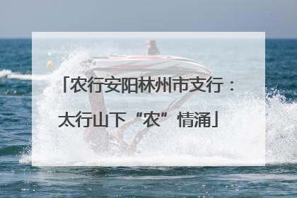 农行安阳林州市支行：太行山下“农”情涌