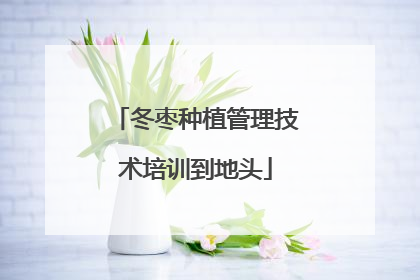 冬枣种植管理技术培训到地头
