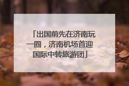 出国前先在济南玩一圈，济南机场首迎国际中转旅游团