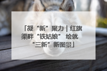 凝“新”聚力｜红旗渠畔“铁姑娘” 绘就“三新”新图景