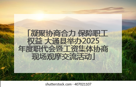 凝聚协商合力 保障职工权益 大通县举办2025年度职代会暨工资集体协商现场观摩交流活动
