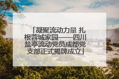 凝聚流动力量 扎根蓉城家园——四川盐亭流动党员成都党支部正式揭牌成立