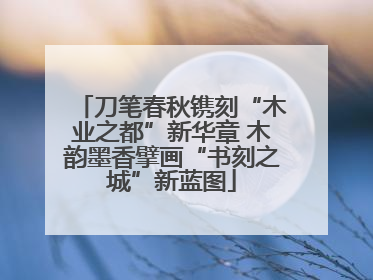 刀笔春秋镌刻“木业之都”新华章 木韵墨香擘画“书刻之城”新蓝图