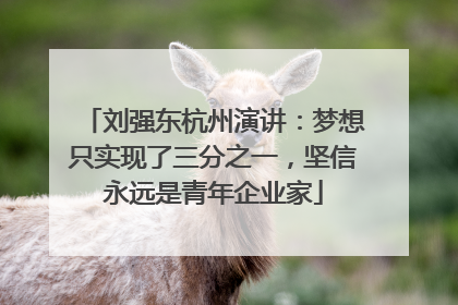 刘强东杭州演讲：梦想只实现了三分之一，坚信永远是青年企业家