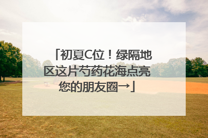 初夏C位！绿隔地区这片芍药花海点亮您的朋友圈→
