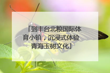 到丰台北粮国际体育小镇，沉浸式体验青海玉树文化