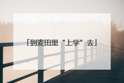 到麦田里“上学”去