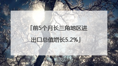 前5个月长三角地区进出口总值增长5.2%