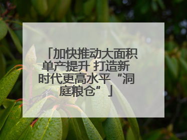 加快推动大面积单产提升 打造新时代更高水平“洞庭粮仓”