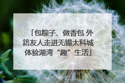 包粽子、做香包 外籍友人走进无锡太科城体验湖湾“趣”生活