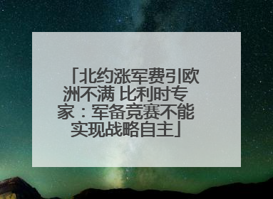 北约涨军费引欧洲不满 比利时专家：军备竞赛不能实现战略自主