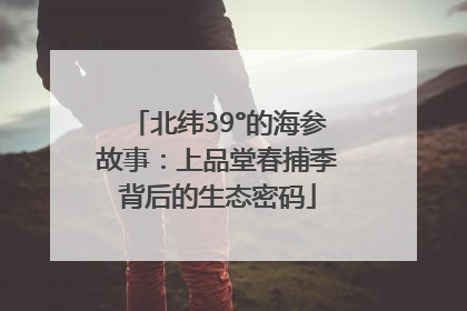 北纬39°的海参故事：上品堂春捕季背后的生态密码