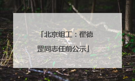 北京组工：翟德罡同志任前公示