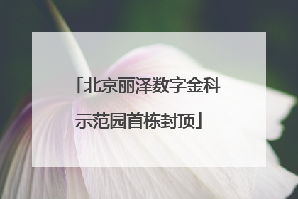 北京丽泽数字金科示范园首栋封顶