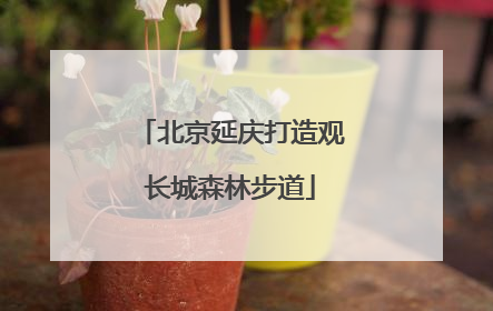 北京延庆打造观长城森林步道
