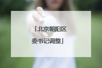 北京朝阳区委书记调整