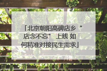 北京朝阳高碑店乡“店念不忘” 上线 如何精准对接民生需求