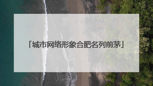 城市网络形象合肥名列前茅
