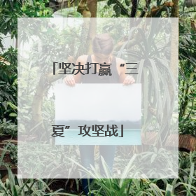 坚决打赢“三夏”攻坚战