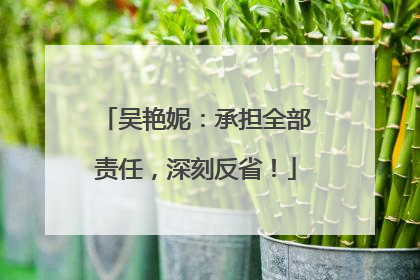 吴艳妮：承担全部责任，深刻反省！
