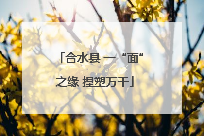 合水县 一“面”之缘 捏塑万千