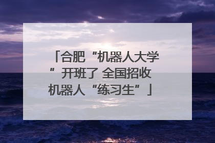 合肥“机器人大学”开班了 全国招收机器人“练习生”