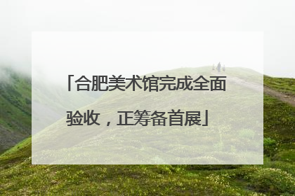 合肥美术馆完成全面验收，正筹备首展