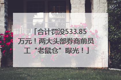 合计罚没533.85万元！两大头部券商前员工“老鼠仓”曝光！