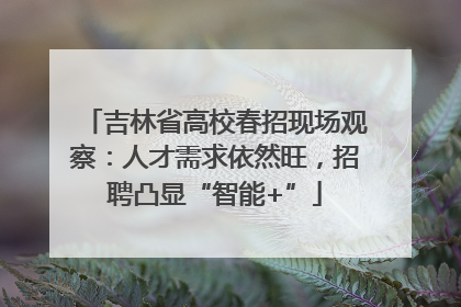 吉林省高校春招现场观察：人才需求依然旺，招聘凸显“智能+”