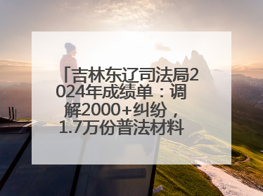 吉林东辽司法局2024年成绩单：调解2000+纠纷，1.7万份普法材料飞入百姓家！