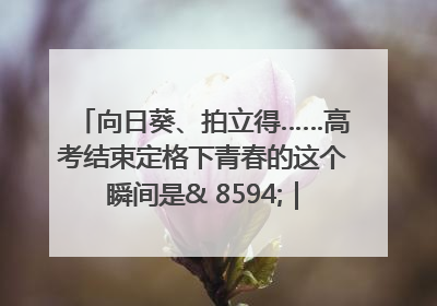 向日葵、拍立得……高考结束定格下青春的这个瞬间是& 8594;｜2025四川高考