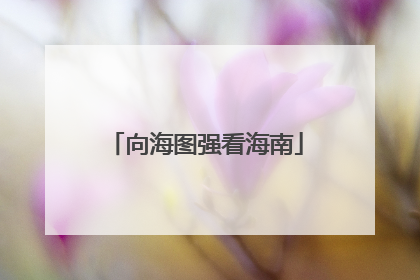 向海图强看海南
