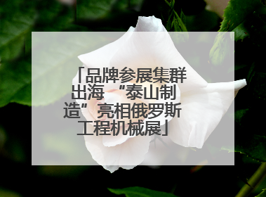 品牌参展集群出海 “泰山制造”亮相俄罗斯工程机械展