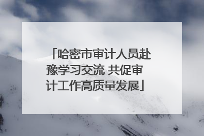 哈密市审计人员赴豫学习交流 共促审计工作高质量发展