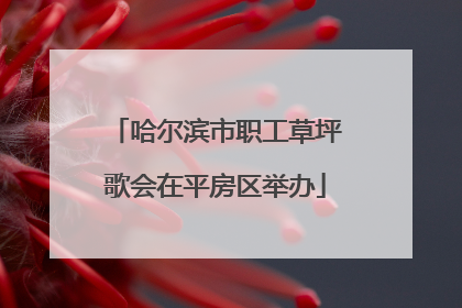 哈尔滨市职工草坪歌会在平房区举办