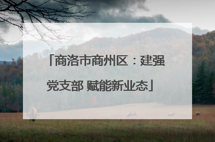 商洛市商州区：建强党支部 赋能新业态