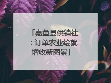 嘉鱼县供销社：订单农业绘就增收新图景