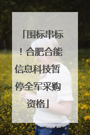 围标串标！合肥合能信息科技暂停全军采购资格