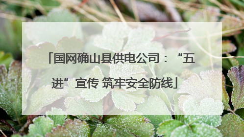 国网确山县供电公司：“五进”宣传 筑牢安全防线