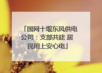 国网十堰东风供电公司：支部共建 居民用上安心电