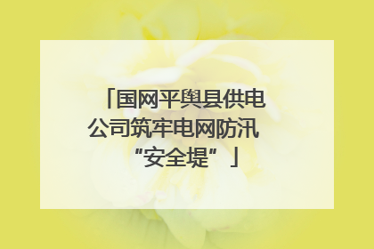 国网平舆县供电公司筑牢电网防汛“安全堤”