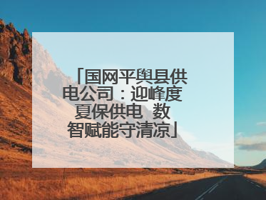 国网平舆县供电公司：迎峰度夏保供电  数智赋能守清凉